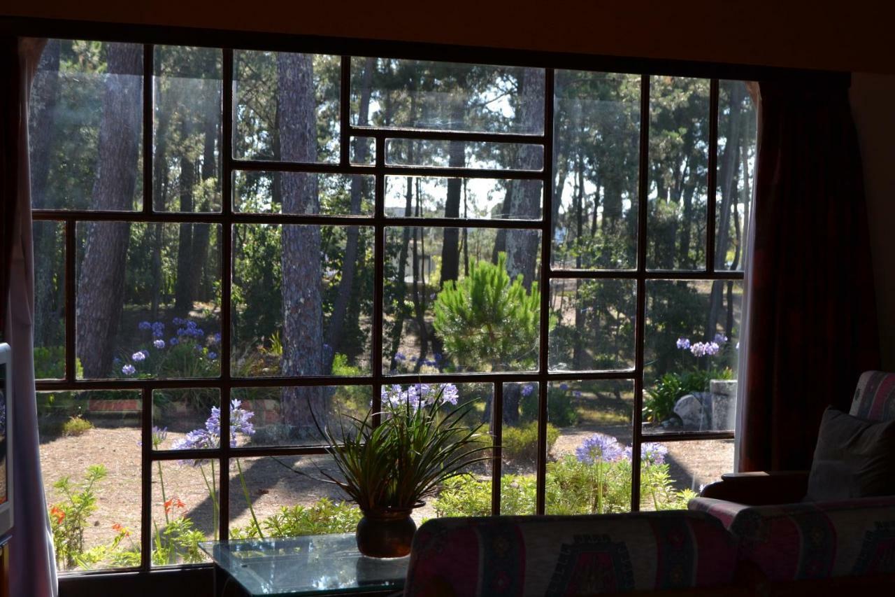 הוילה מולדו Casa Do Sol מראה חיצוני תמונה