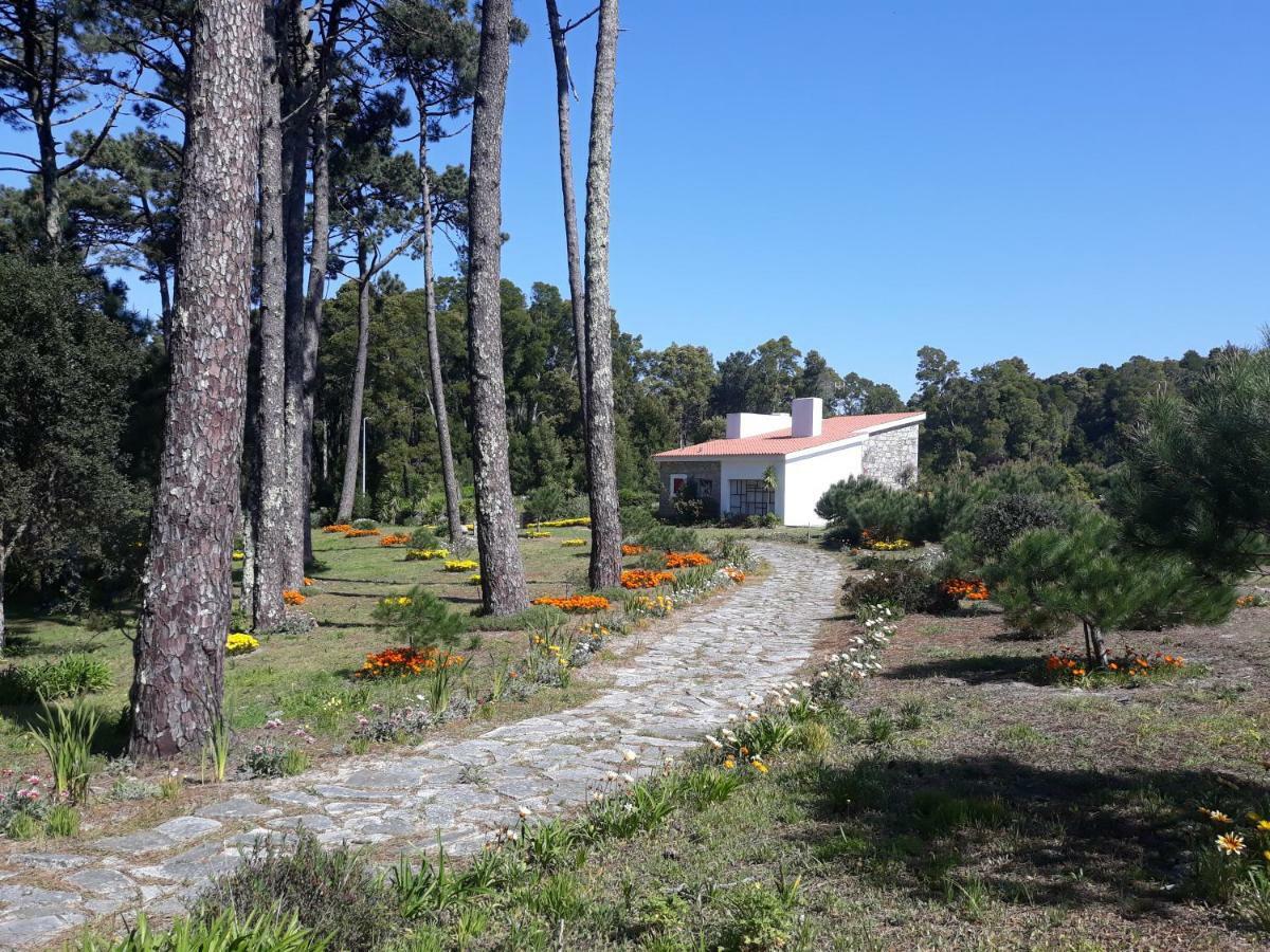 הוילה מולדו Casa Do Sol מראה חיצוני תמונה